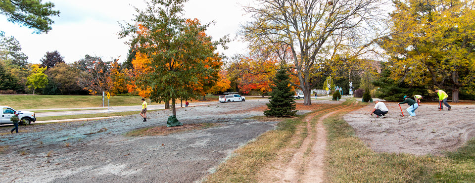 Walking path with bare ground on both sides during site preparations