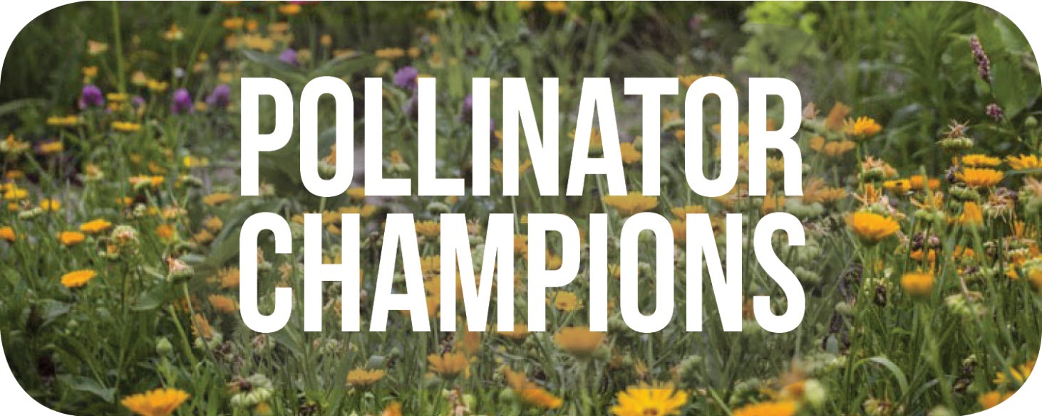 Pollinator Champions button