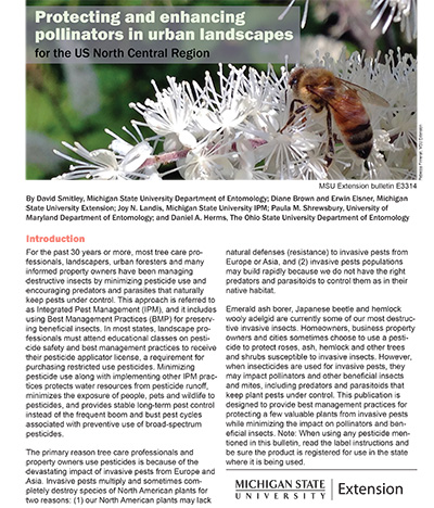 PDF cover of Protecting and Enhancing Pollinators
