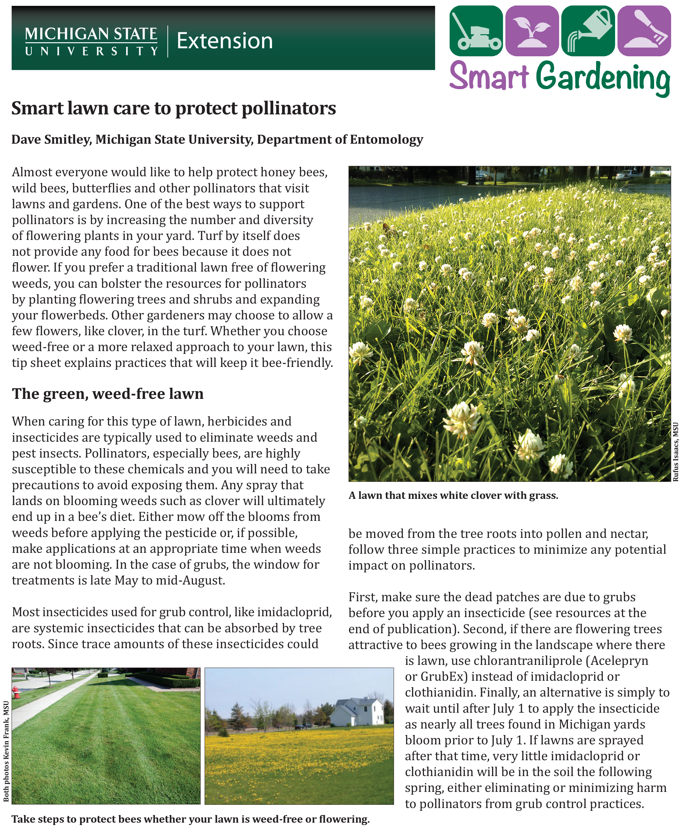 PDF cover of Smart Lawn Care for Pollinators
