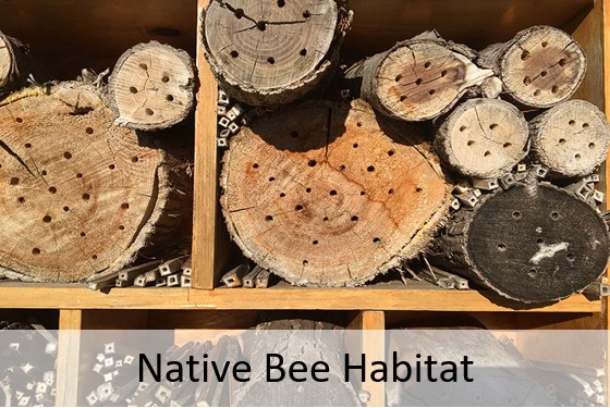 Close up of wood from native bee house