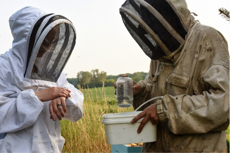 Beekeepers shaking the jar into tub