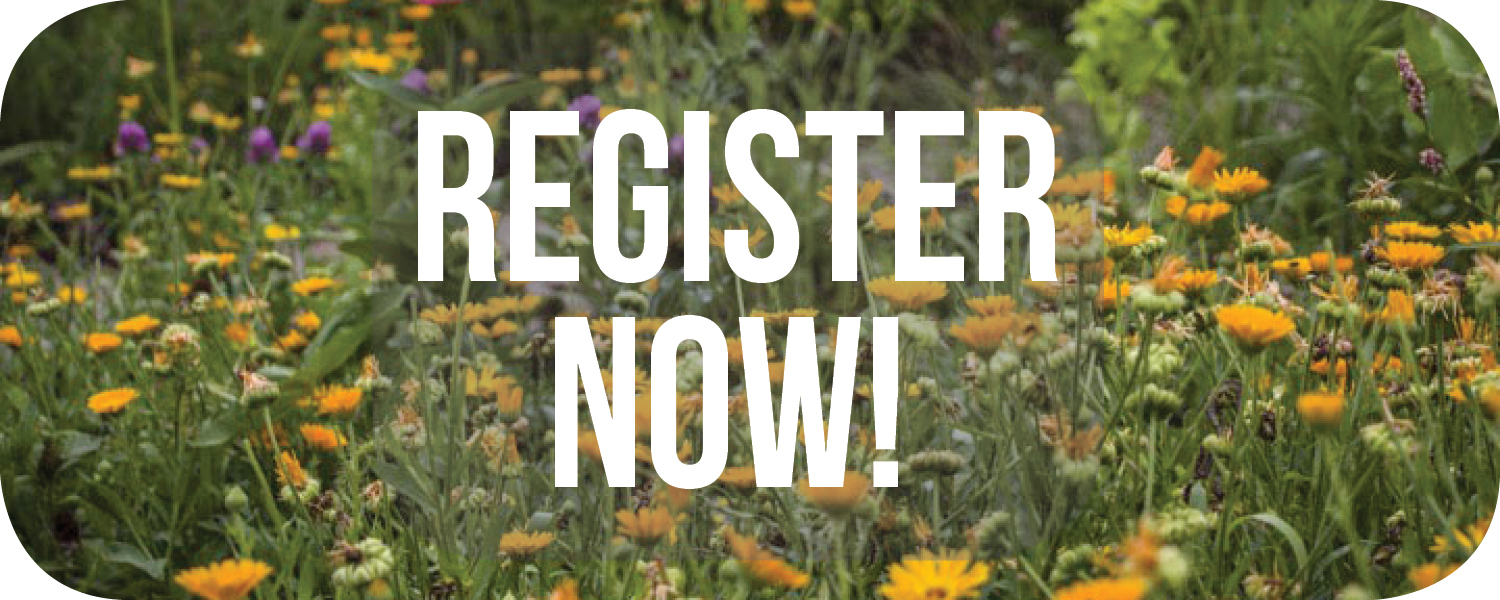 Pollinator Champions register now button