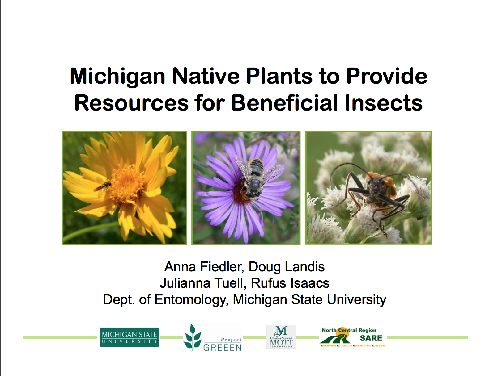 PDF cover of Michigan Native Plants