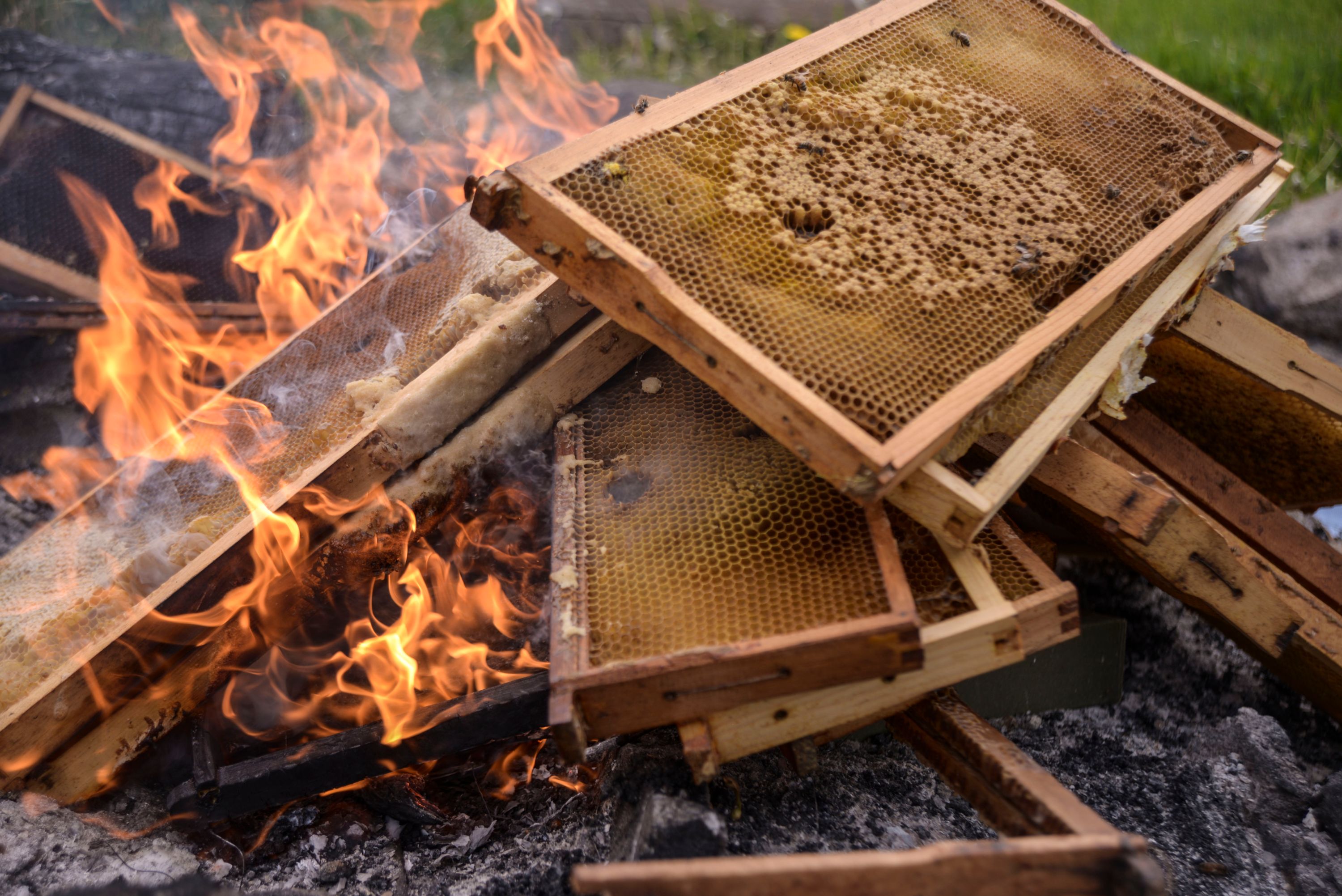 beekeeping equipment in flames